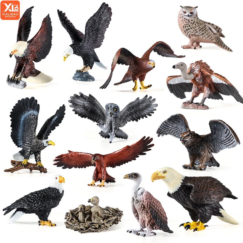 Juego de juguetes educativos para pájaros de vida silvestre para niños, modelos realistas de figuras de pájaros de avance de águila, búho y águila calva