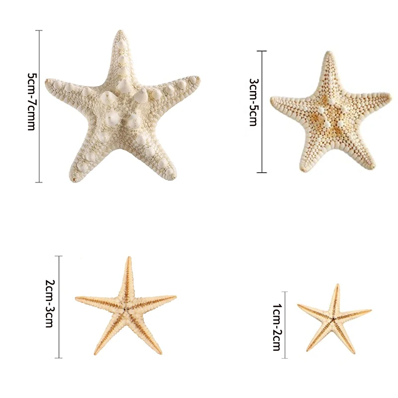 Mini Natural Starfish Sea Stars, DIY Craft Decoração, Beach Cottage, Decoração do casamento, Artesanato, 5 Pcs, 25 Pcs, 50 Pcs, 100 Pcs