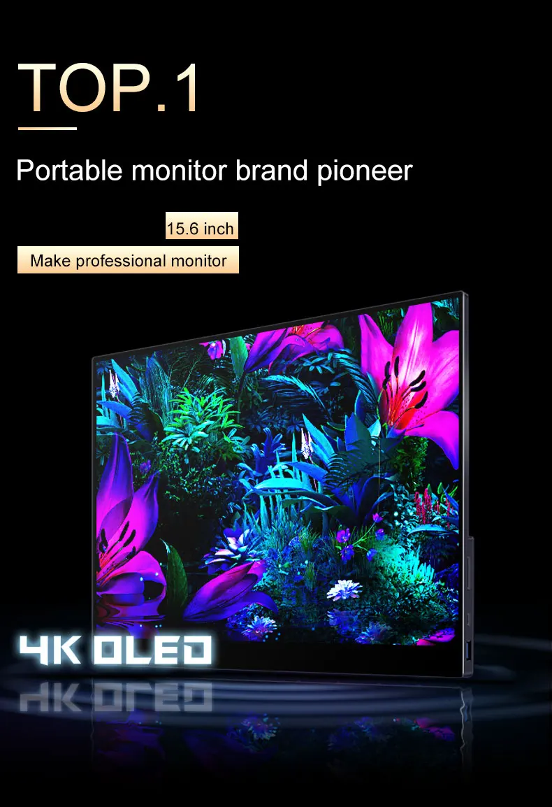 15,6 Zoll 4K OLED Tragbarer Monitor 550Nit USB-C HDMI-kompatibler externer Gaming-Monitor für Xbox Switch Laptop MacBook Phone – Detail 2