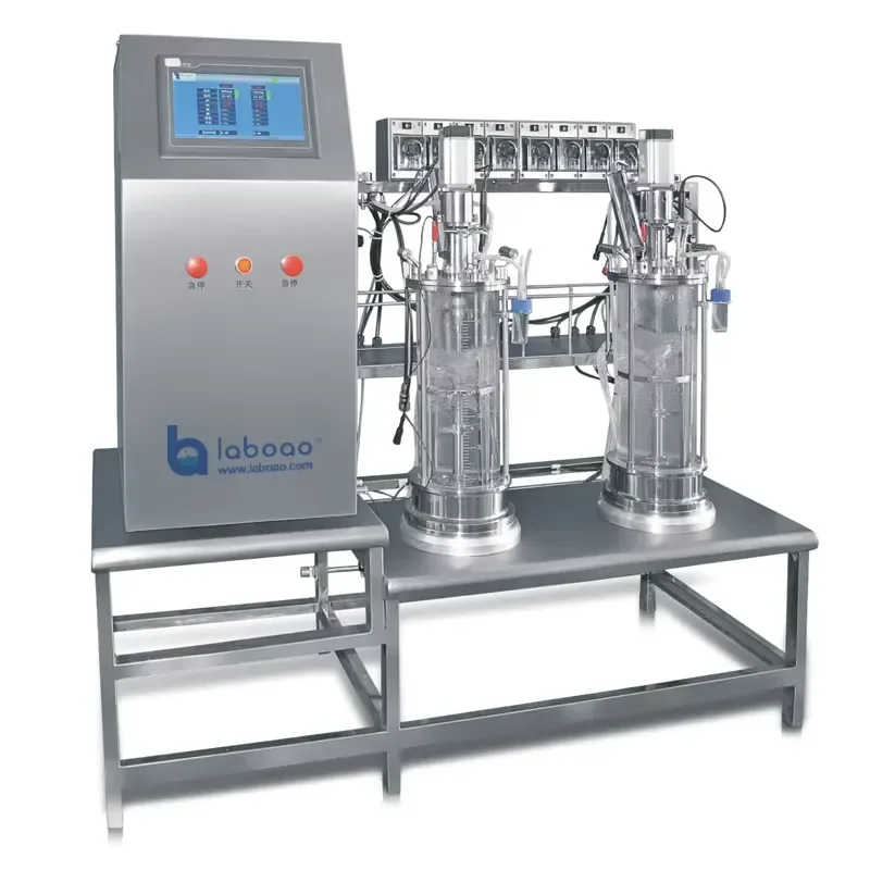 for  Cabinet Two Conjoined Parallel Glass Fermenter Automatic Airlift Bioreactor
