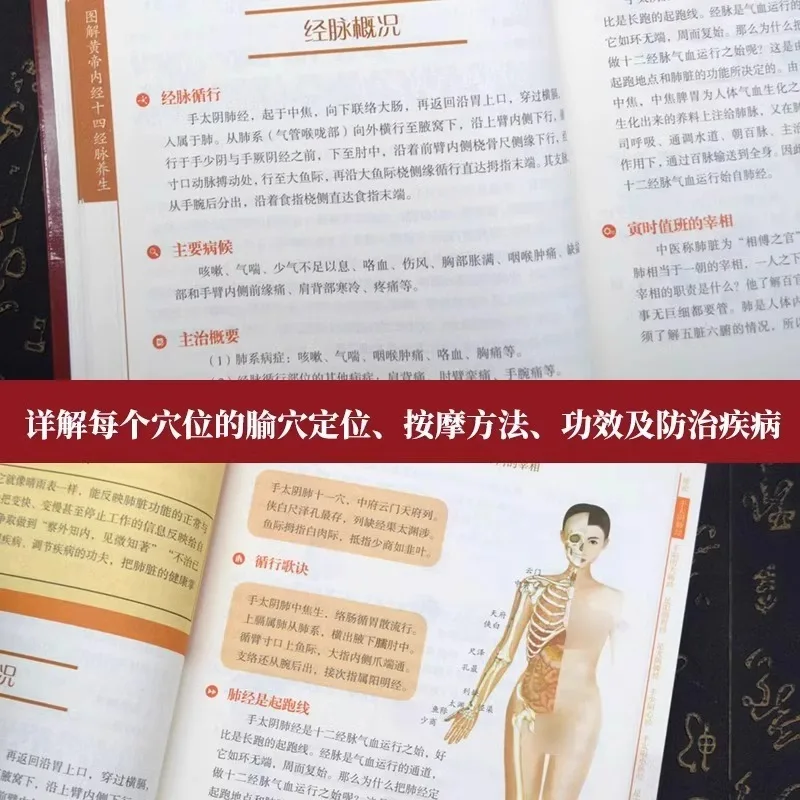 หวงตี้เน่ยจิง จุดเส้นลมปราณสิบสี่เส้นเพื่อการรักษาสุขภาพ เทคนิคการนวดจุดเส้นลมปราณในร่างกายมนุษย์