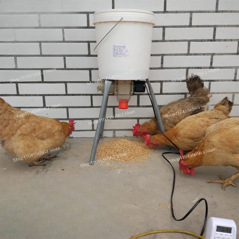 Переноска для курицы и утки, желоб для кормления голубей, таймер, автоматическое кормление, артефакт для курицы, принадлежности для голубей, посуда
