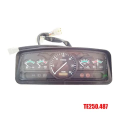 TE250.487 , Cluster meter ( combined instrument ) for Foton Lovol TE254 / TE250A series tractor