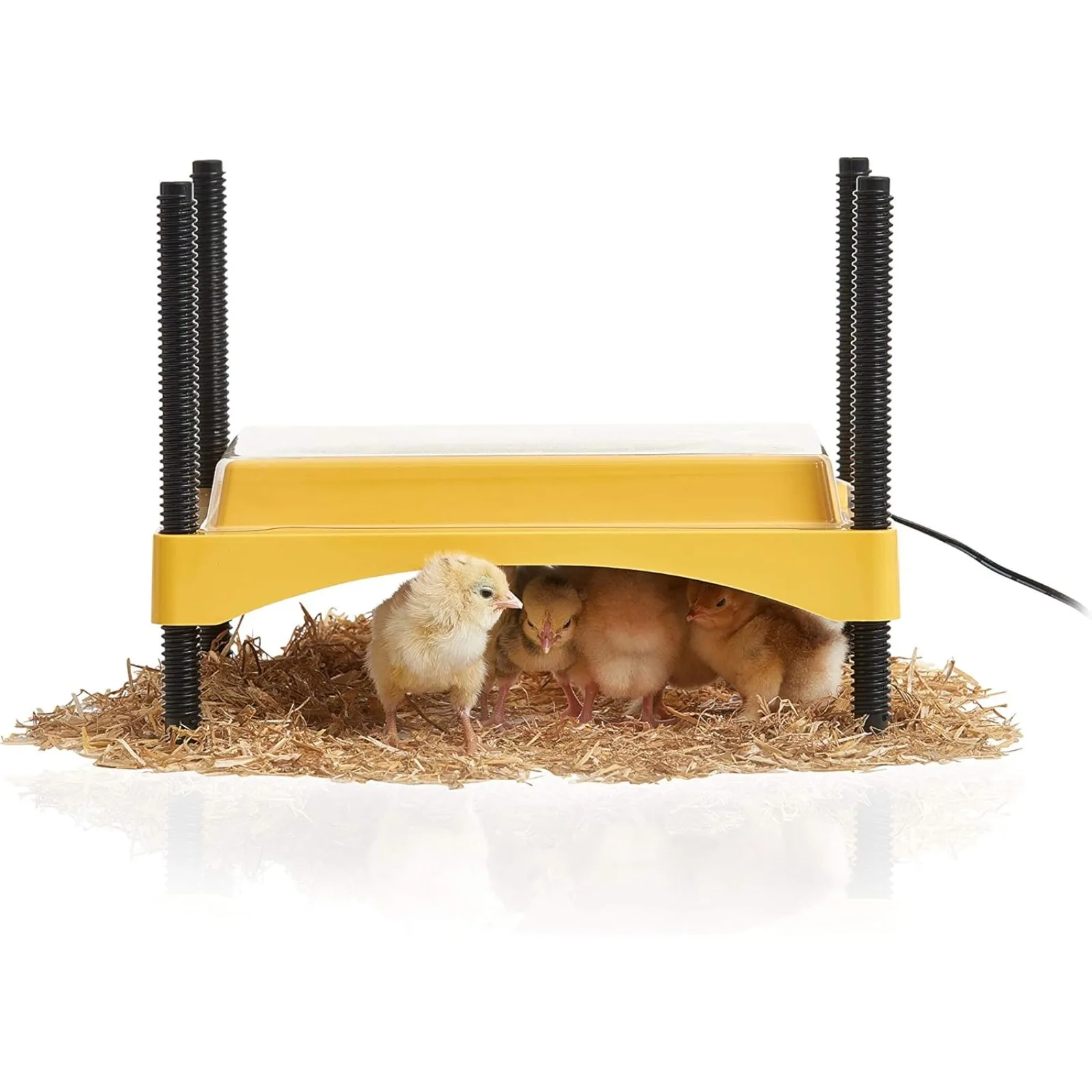 

US Products Ecoglow 20 Safety 600 Brooder for Chicks Or Ducklings, Yellow/Black