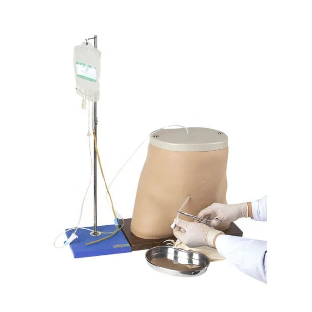 Medical Teaching Peritonal    Simulator GD/L64
