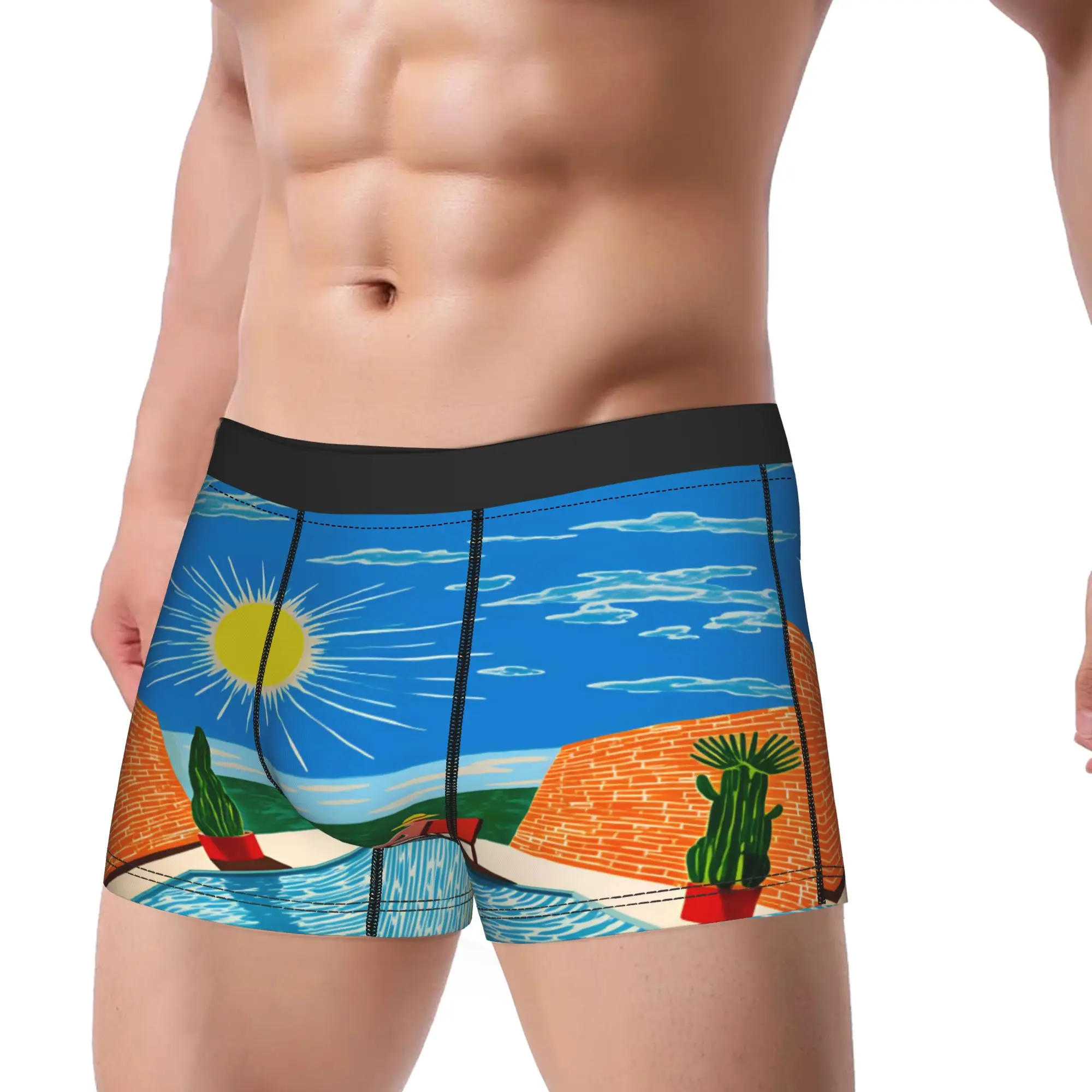David Hockney Vintage VL22 Poster Shorts Briefs  Underwear Quality Males Comfortable Boxershorts Custom DIY Plus Size Underpants