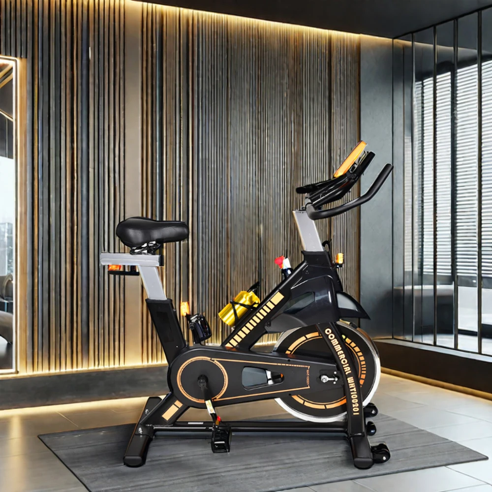 

2025 Bike Spinning Gym 13kg Flywheel Fitness Spinning Magnetic Bike
