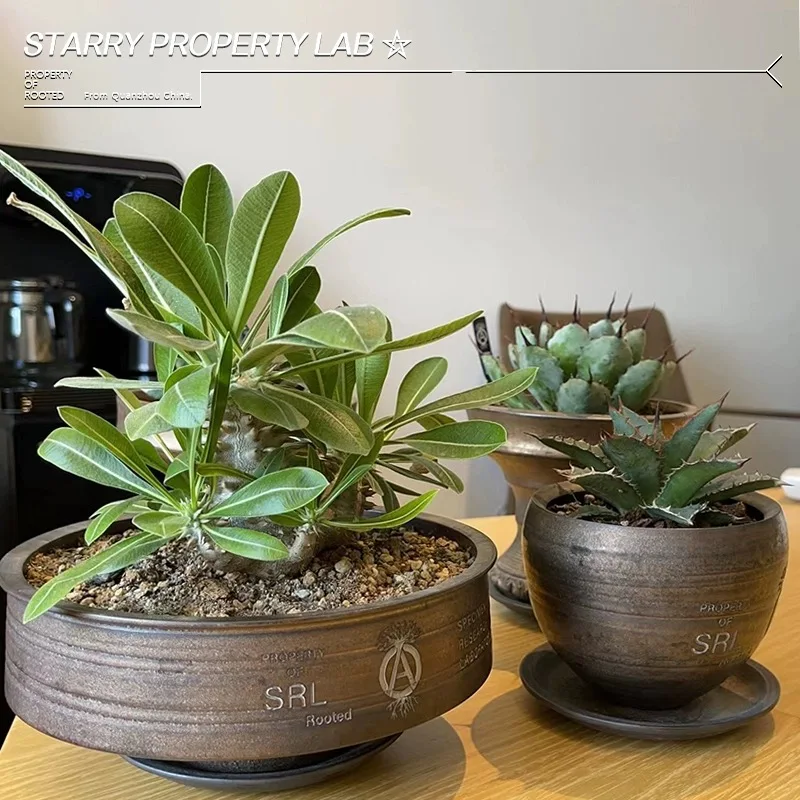 

Grape Weng Turtle Dragon Ebisu Xiao Big Black Ivory Palace Trendy Plant Root Flower Pot Planting Bowl