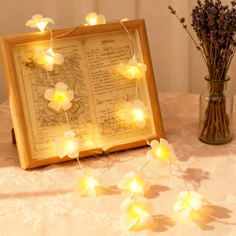 5 فولت 3 متر 6 متر البيض زهرة سلسلة أضواء USB بطارية تعمل بالطاقة الجنية أضواء أصفر وردي 10 20 40 المصابيح/م لحفل زفاف زينة عيد الميلاد #6