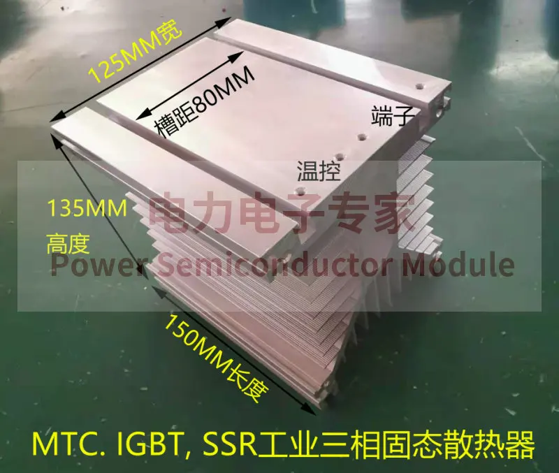 Thyristor Solid-State Relay Rectifier Bridge Heat Sink H110 H150Y-150 with Fan Aluminium Profile Rapid Heat Dissipation