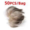 50 piezas por bolsa