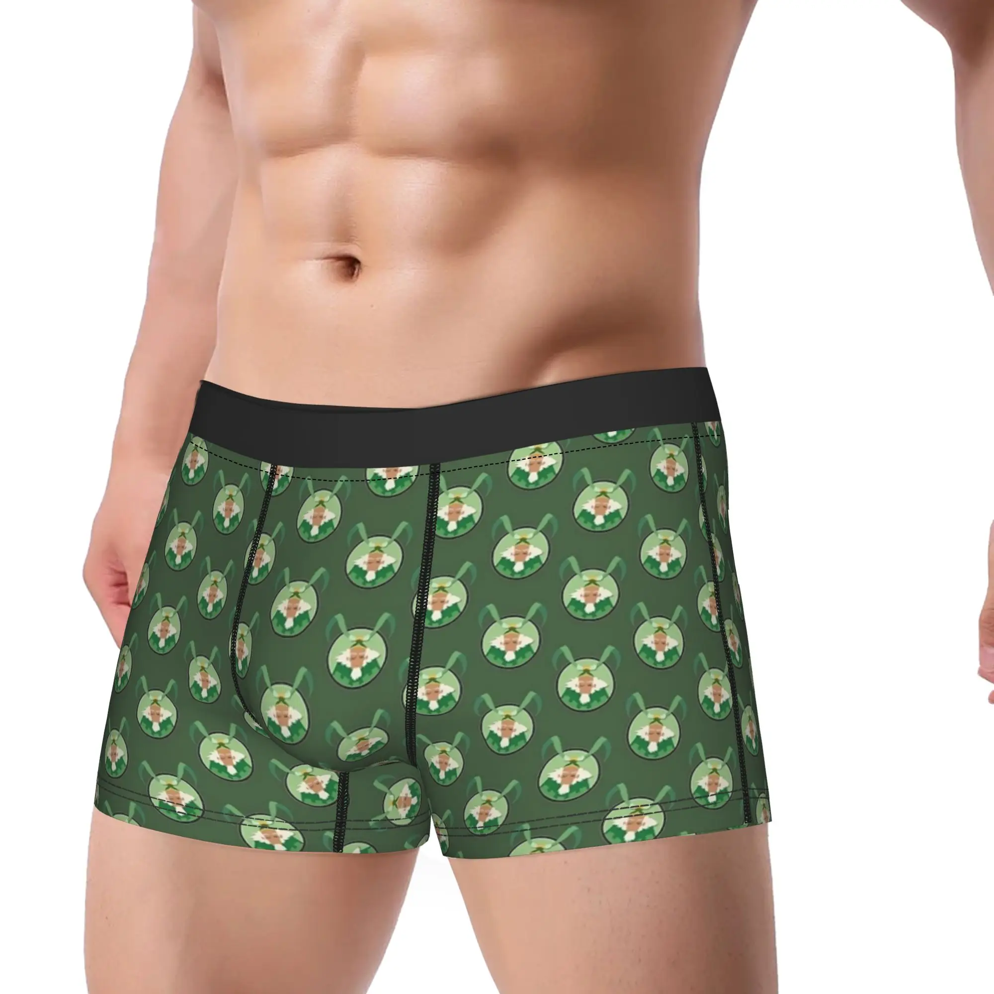 King Bumi  Avatars The Last Airbender Underwear  Males Boxer Brief Elastic Trunk Trenky Printing Oversize Panties
