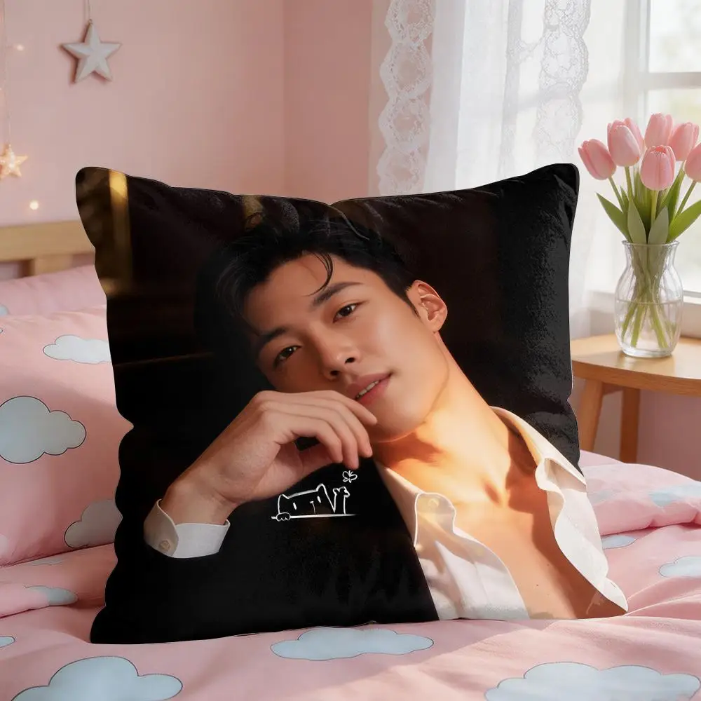 Woo Do H-Hwan Cushion Cover Square Short Plush Pillow Case Living Room Sofa Home Decor Funda 40X40