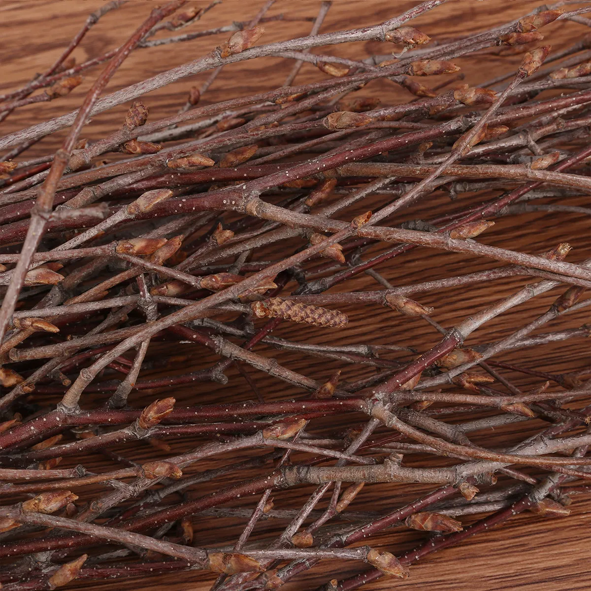 10Pcs 40Cm Premium Birch Branc - Craft Embellishments ulasan dan harga