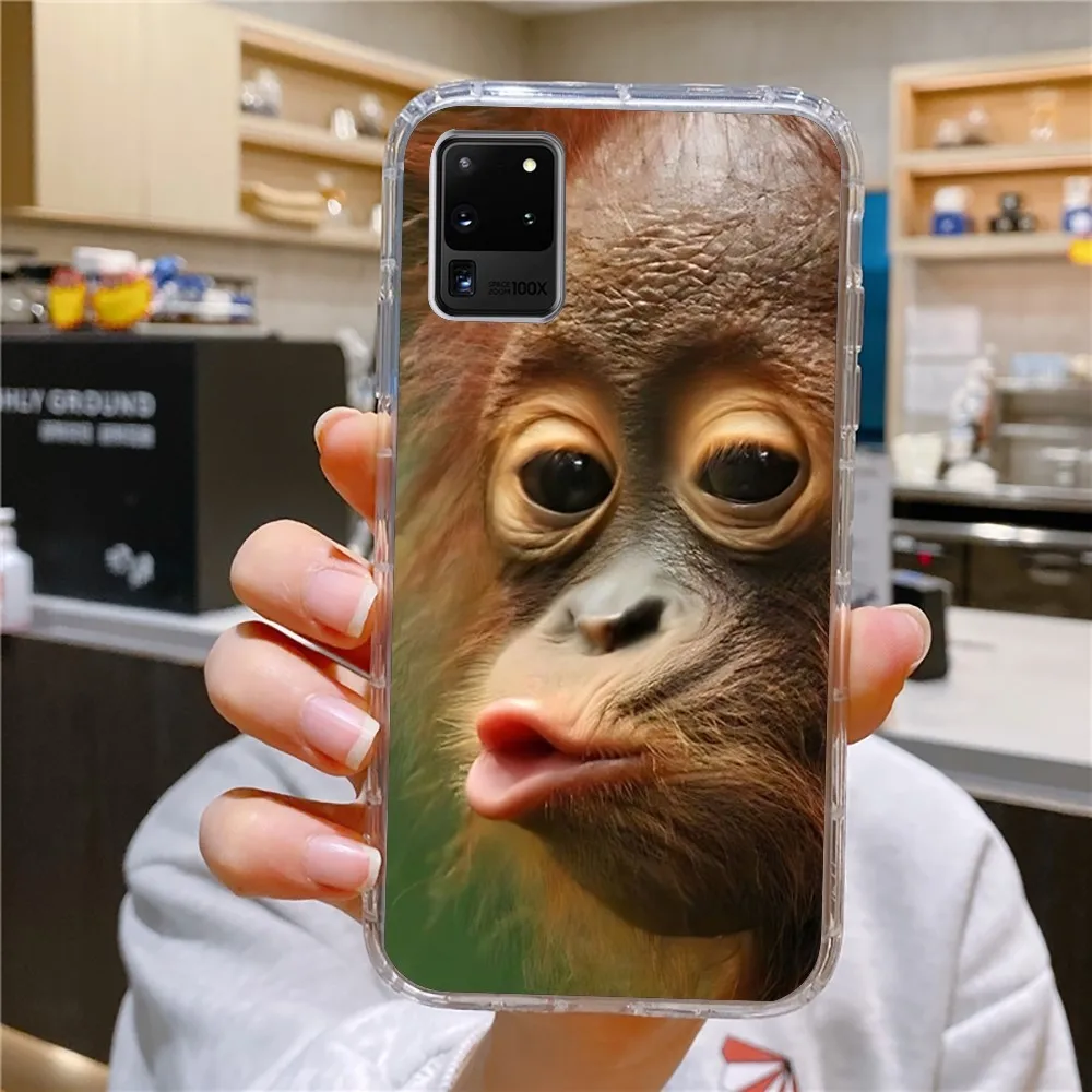 Monkey Sipping Capri Meme Phone Case For Samsung Galaxy A52 A12 A51 S21 Edge S22ULTRA S23 S20LITE Plus Ultra Transparent Cover