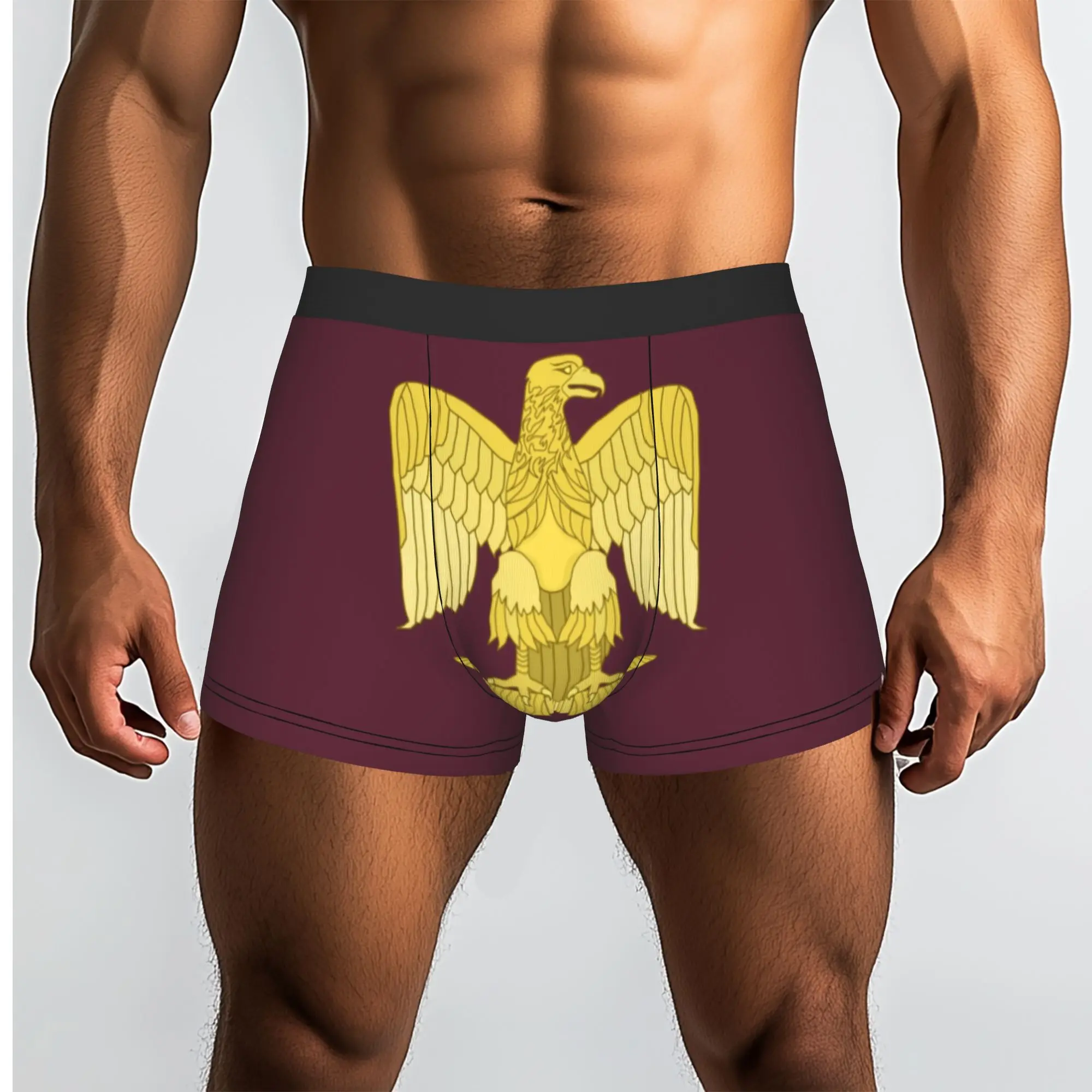 Custom Napoleon Bonaparte Eagle Boxers Shorts Mens France French Empire Briefs Underwear Funny Underpants