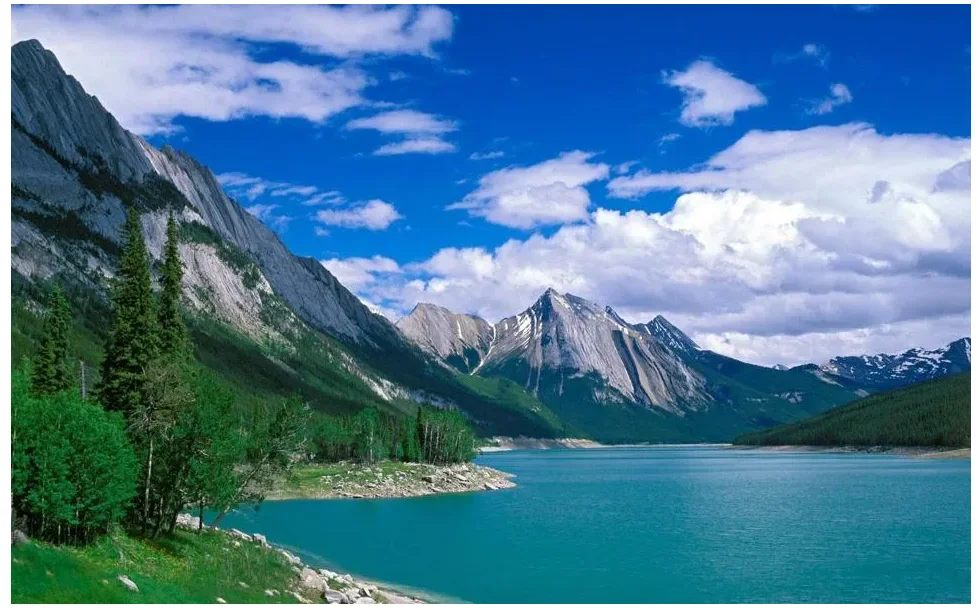 

Черная защитная пластина под двигателем, брызговик, крышка на крыло для Chevrolet Sail 2015-2018 2017 2016, защита от брызговика автомобиля