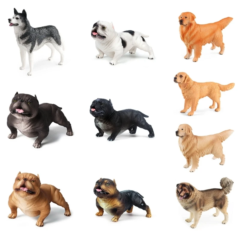 

Multiple Type Dog Model for Landscape Educational Puppy Statue for Office N84E