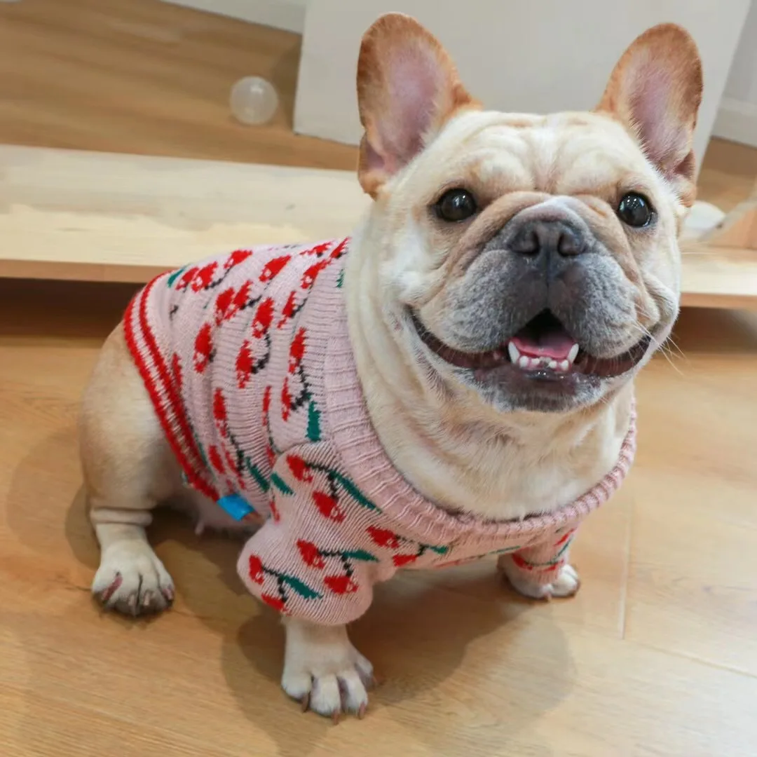 Printing Cherry Pet French Bulldog Clothes for Small Dogs Pink Color Winter Overall Pet Sweater Christmas New Year Cat Clothing