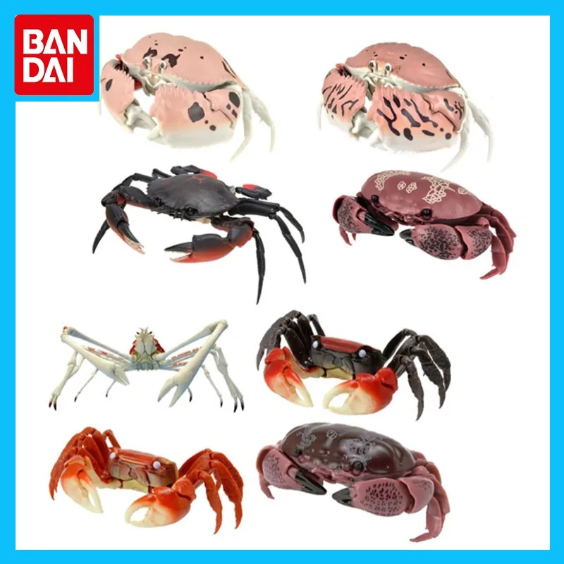 

Bandai Original Gashapon Simulated Movable Crab Anime Figure Movable Ornaments Action Figure Toys for Boys Girls Kids Gift