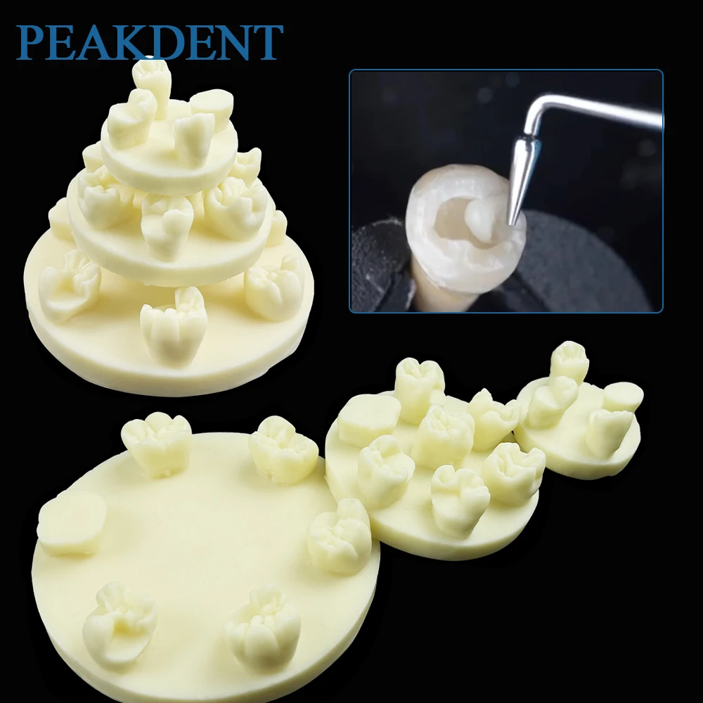 

Модель для практики пломбирования зубов из стоматологической смолы, тренировочная модель для имплантации, учебная модель для отработки навыков пломбирования зубов