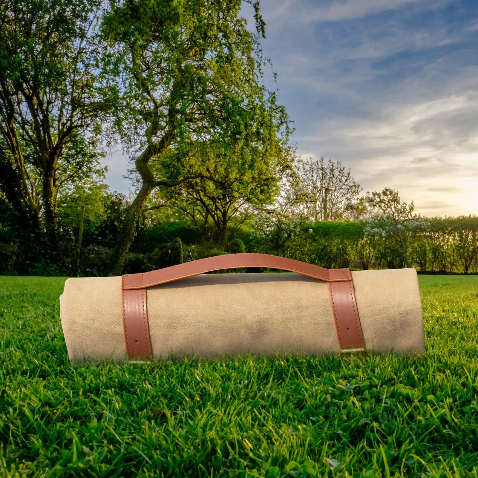 

Прочные регулируемые ремни для крепления напольных ковриков, ремни для уличных покрывал, ремни для пляжных ковриков, ремни для переноски походного снаряжения, ремни для пледов