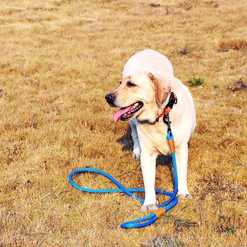 laisses extendidas de 16 pies para perros, correa fuerte resistente al desgaste para perros, adiestramiento al aire libre, laisse para caminar,