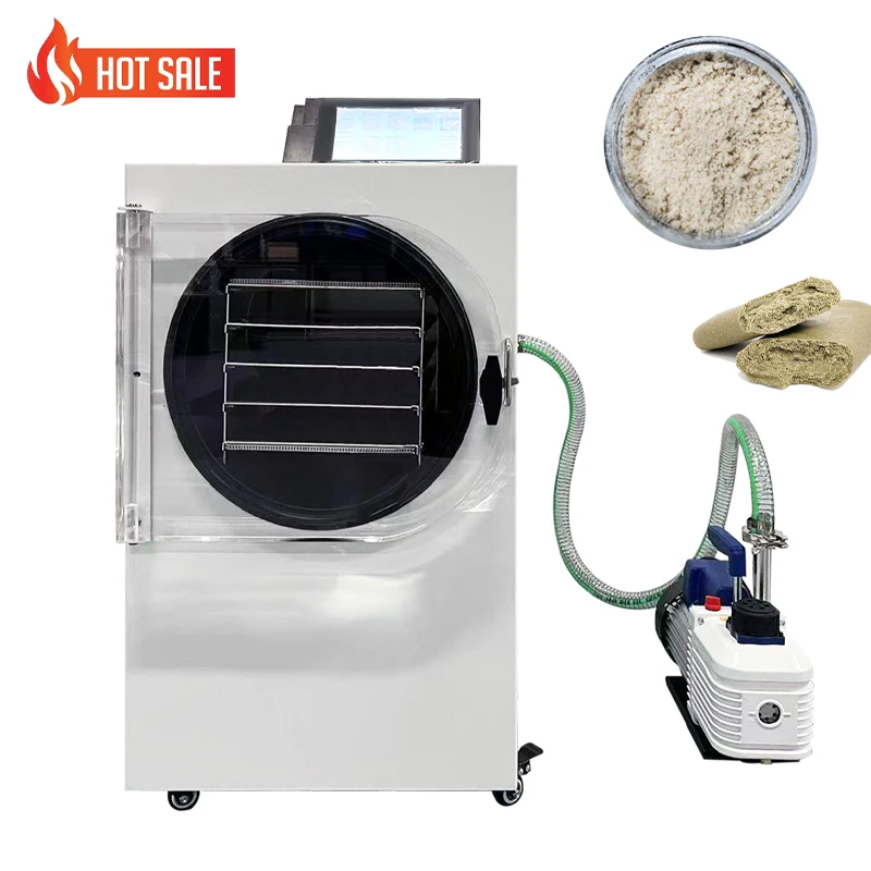 Warehouse Stock  Liofilizador De Alimentos Lyophilizer Mini Home Liofilizador De Frutas Machine Freeze Dryer