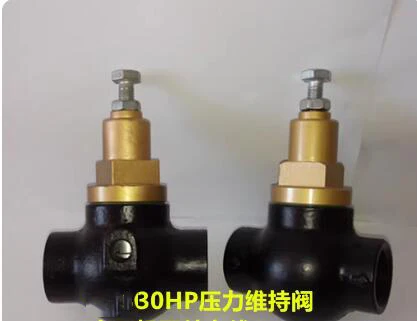 

Compressor pressure maintenance valve 71111111-47001 pressure valve interface 1 inch 30HP