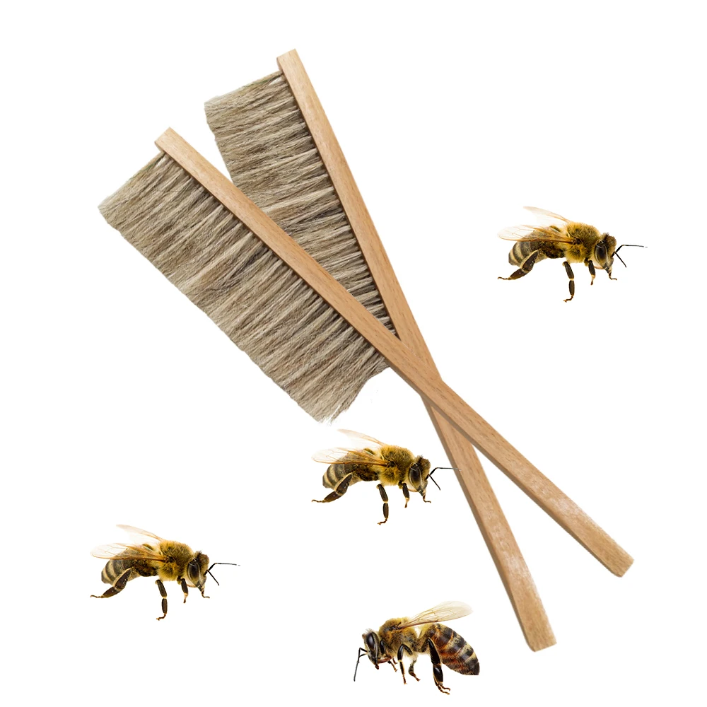 Beekeeping Tool Wood Handle Double Rows Horsetail Bee Sweeping Brush  Cleaning Beehives Brooms Langstroth Apiculture Accessories