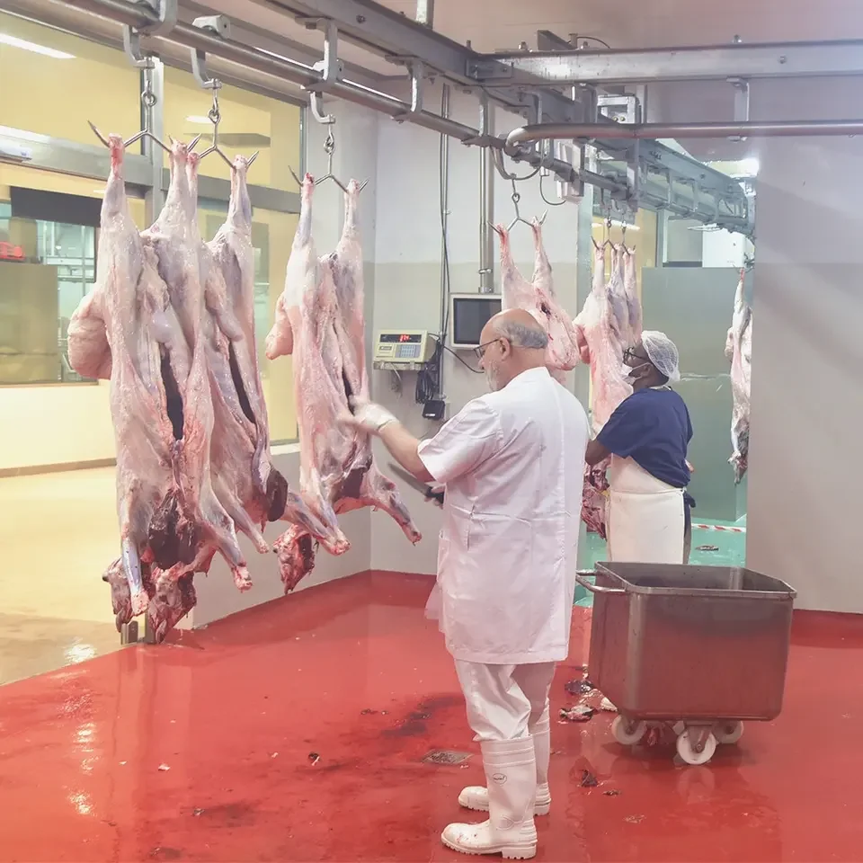 60 Head Per Hour Sheep Mutton Slaughter House Equipment and Lamb Abattoir