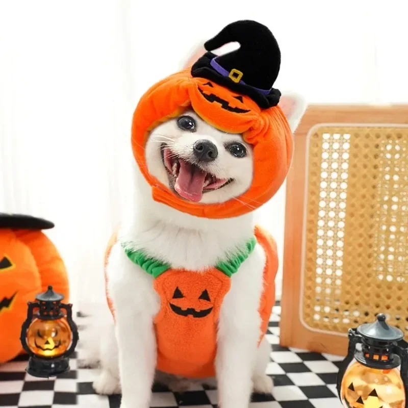 Funny Dog Halloween Christmas Pumpkin Lantern Transformation Outfit halloween dog Cat Two Legged Pet Cute Pumpkin Hat Dog Jacket