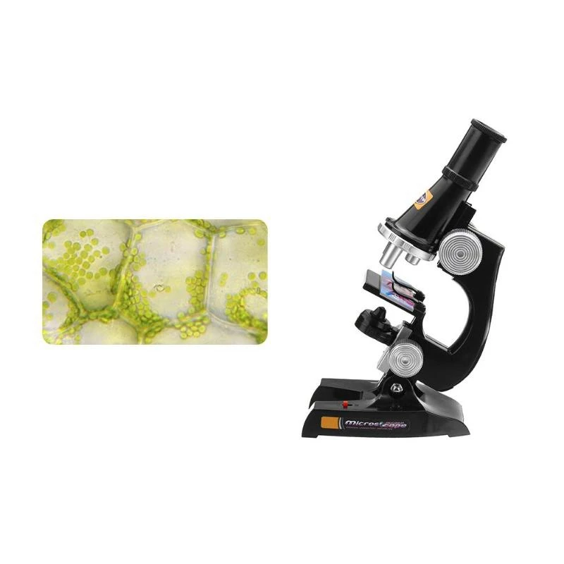 ABSF Microscope Kit Lab Led 100X/200X/450X Homeschool Science Educational Toy Gift Refined Biological Microscope For Kid Child