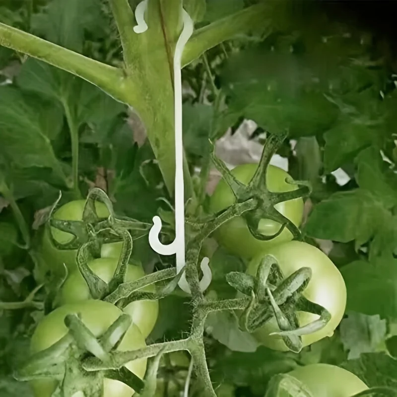 10/50/100pcs Fruit Support Hooks,Vegetable J-Hook,Tomato Truss Hooks for Supporting Plants and Vegetables,Planters Accessories