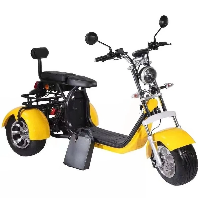 Electric Tricycles High Quality Product With Removable Lithium Battery 3 Wheel EEC/COC Warehouse