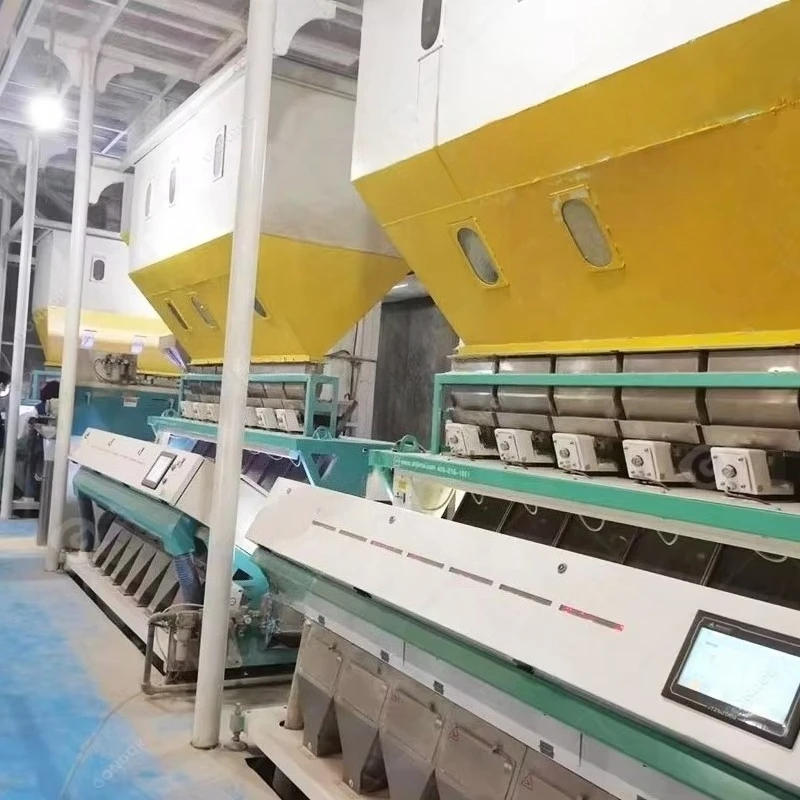 Automatic Bean Multipurpose Seed Sorter Mini Domestic Rice Sorted Peanut Sorting Machine Color for Sale