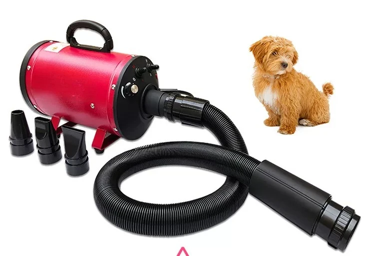 1PC BS-2400 Pet Products Dog Supplies  Dryer 220V  Variable Speed Dog Hair Dryer Single Motor Pet Water Blowing Machine