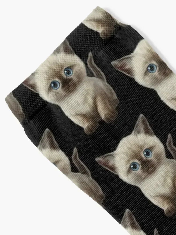 Cataclysm- Siamese Kitten Classic Socks christmass gift gym Soccer Stockings compression Boy Socks Women's