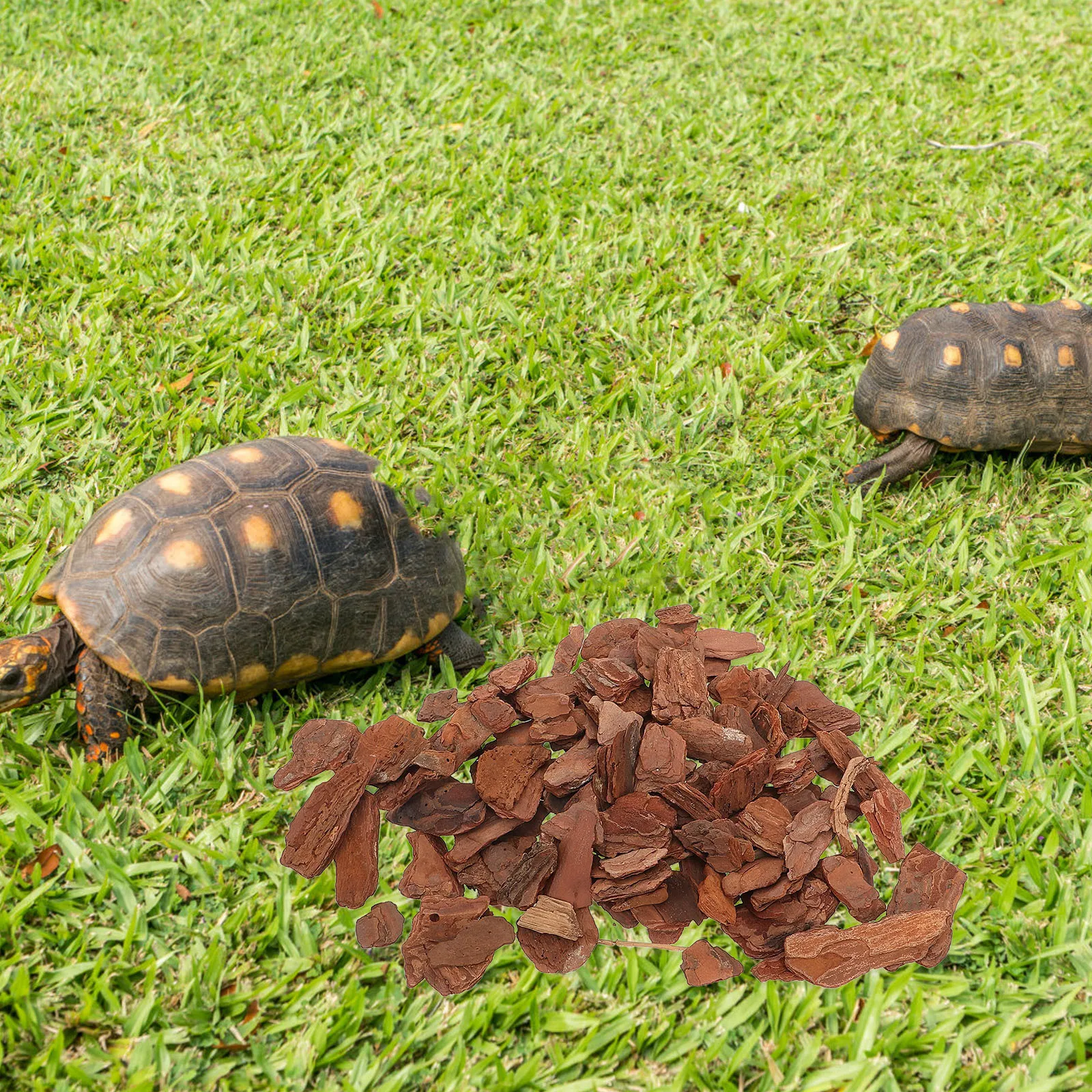 

Rustic Reptile Bark Bedding Chips Tree Terrarium Decor Exquisite Craftsmanship Easy Placement No Maintenance Tank Backdrop