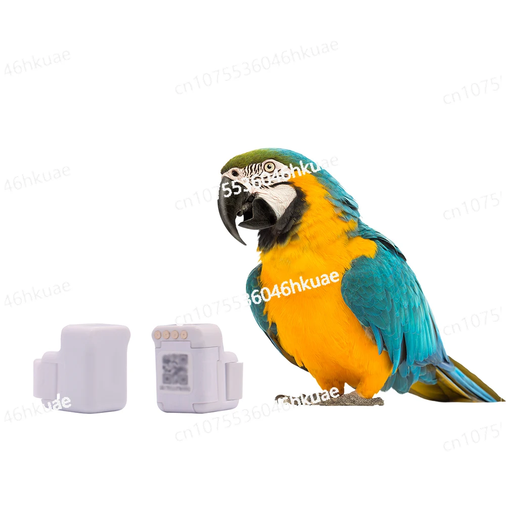 

Tracker for Birds GPS Pigeon Tracking Anklet GPS Promotional Electronic Bird
