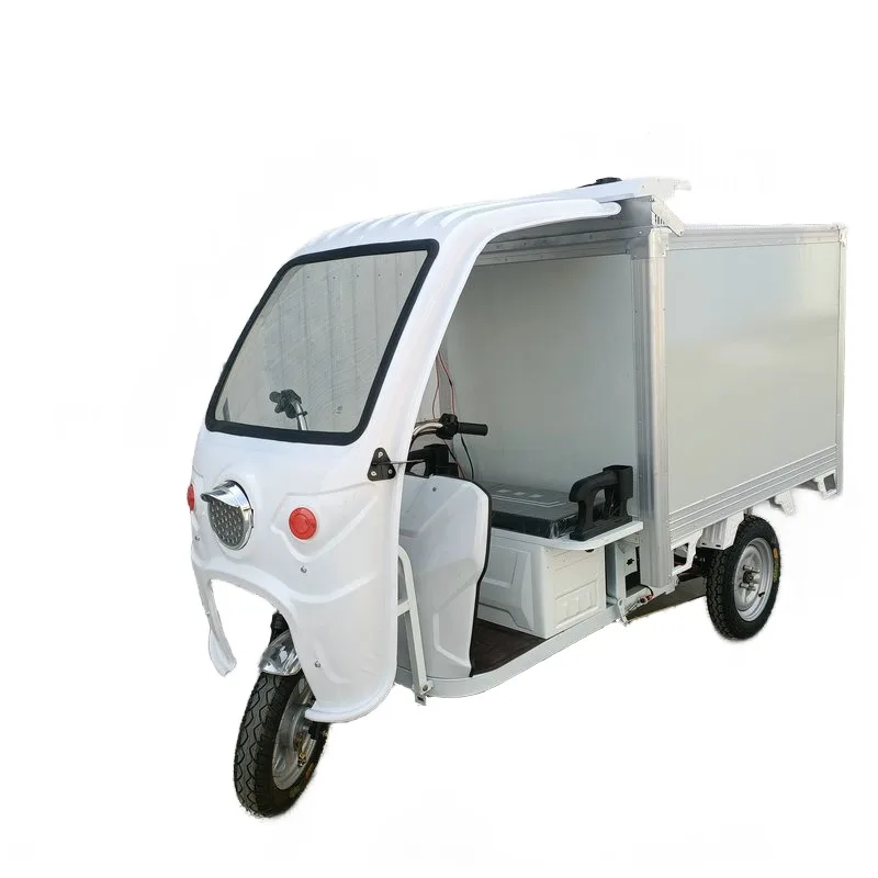 Professional Customized 2 Seat Refrigeration Cargo Tricycle for Food