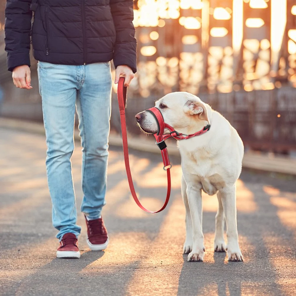 Hunde mund Maul körbe Anti Rinde Hunde halsband atmungsaktives Hunde training Werkzeug Nylon Schnauze Set mit reflektieren den Streifen Sommer Haustier Leinen