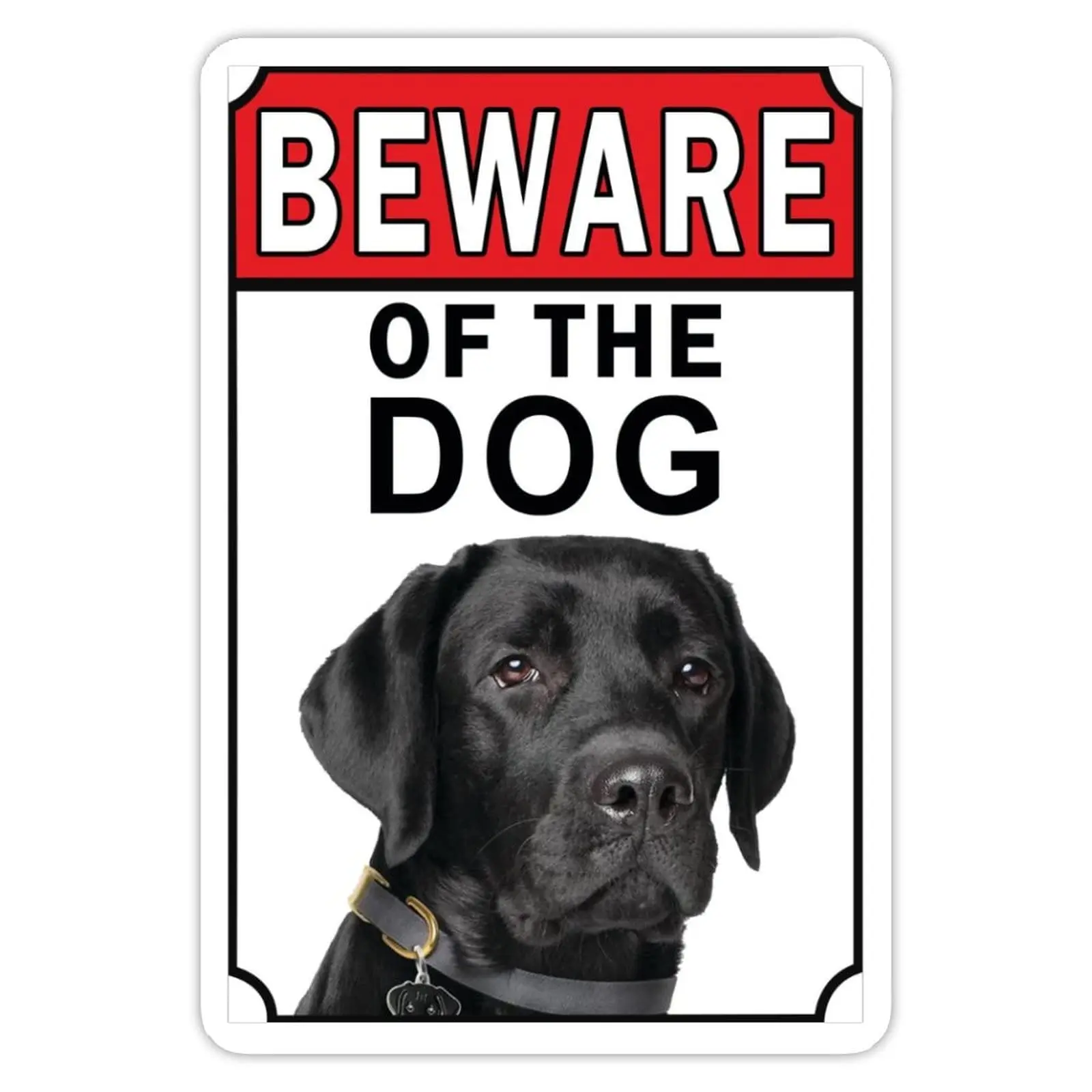 NoneQeleve Beware of The Dog Aluminum Metal Sign Black Labrador Metal Tin Sign 12x18 inch Business Security Sign Home Wall Decor