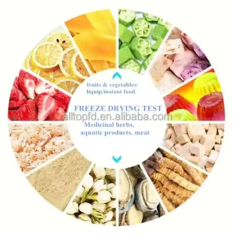 

Высококачественный контроль китайского производителя пищевая машина Lifilizad вакуумная замораживающая сушилка