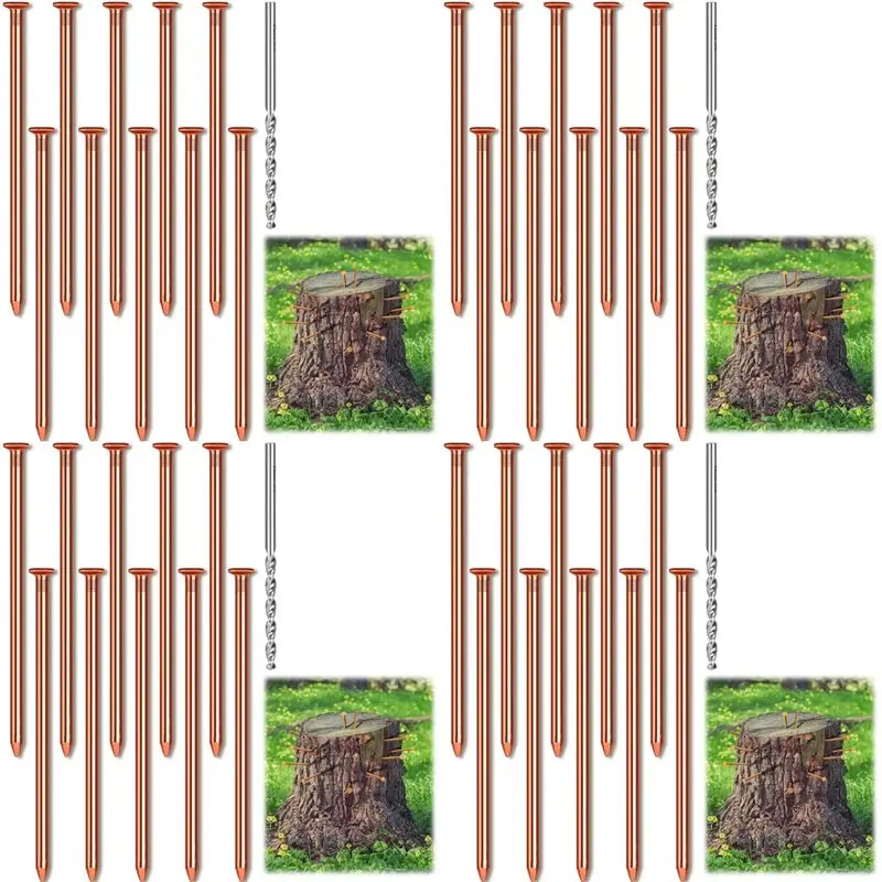 A25F-25Pcs Copper Nails For Killing Trees Stump Root, 3.15 Inch Long Pure Copper Nails Bulk With Drill, Stump Removal Spikes