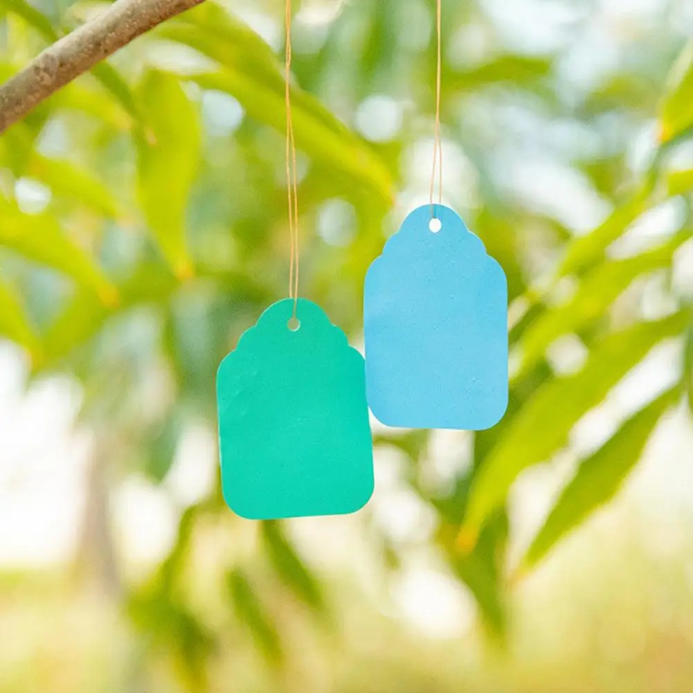 100Pcs/Bag Plant Tags Waterproof Plant Markers Weather Resistant Gardening Tags Plastic Colorful Hanging Plant Tags for Garden