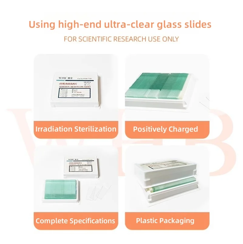 100Pcs Adhesion Microscope Slides Double-sided Frosted Slides 75*25 High Transparent Glass Slide Glass Microscope Standard Slide