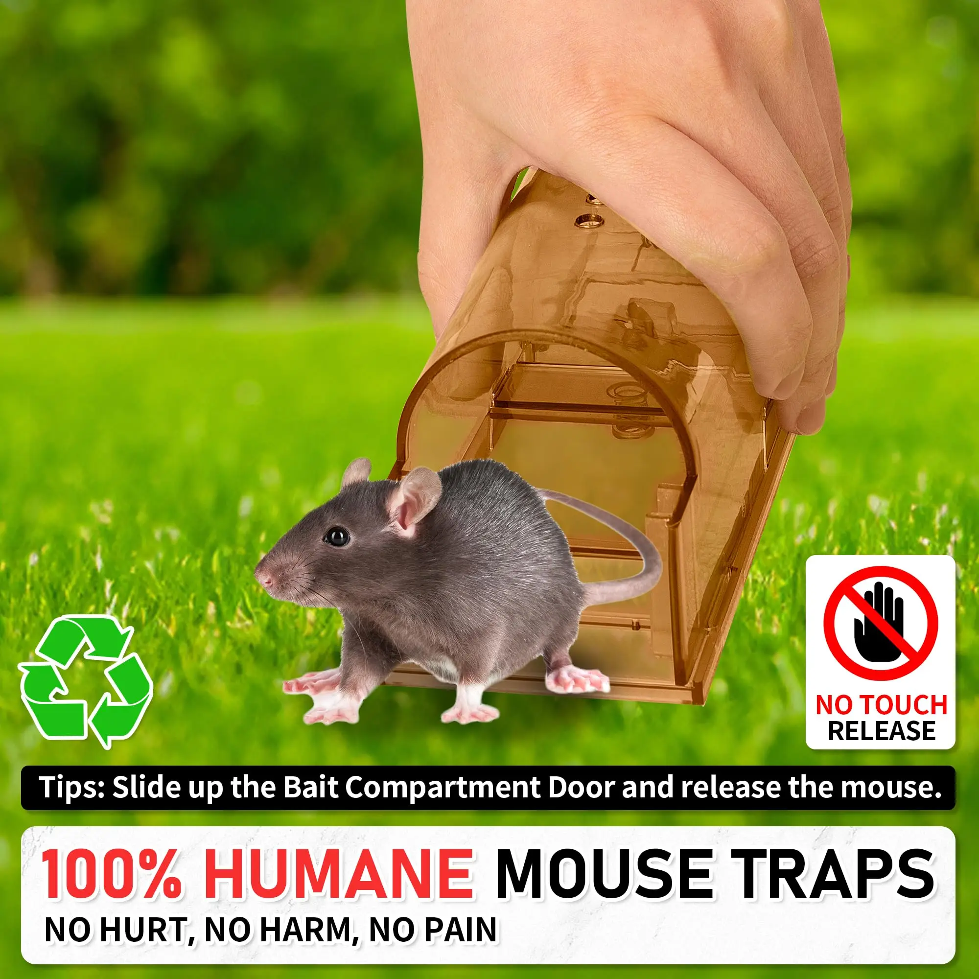 قطعة واحدة من مصائد الماوس - مصيدة صغيرة للاستخدام الداخلي/الخارجي، مصيدة ماوس حية للالتقاط والإطلاق مثالية بدون قتل مصائد الماوس للقوارض #6