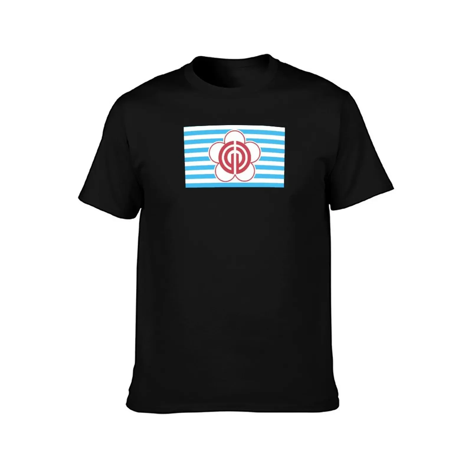 Taipei flag T-Shirt oversize t-shirts man anime clothes tshirts personalised plus size men clothing