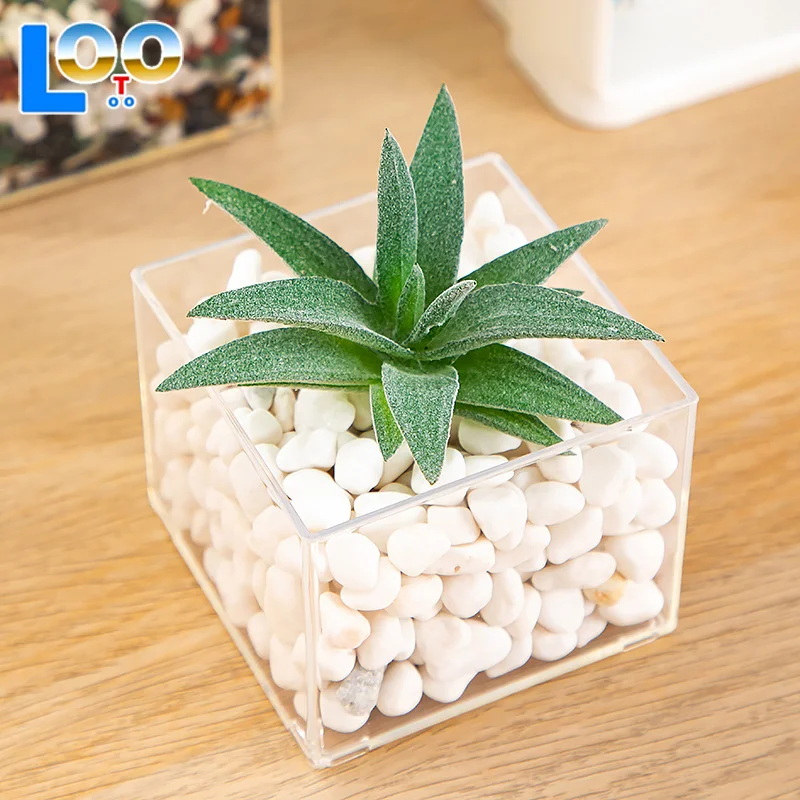 الحد الأدنى الحديثة البلاستيك الشفاف جرة مربعة المنزل زهرة زهرية المائية حاوية النباتات سطح المكتب الديكور